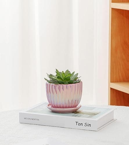 Ton Sin Pink Gold Ceramic Flower Pots, 4"+5"+6" Inch Small Glazed Succulent Planters with Drainage Hole,Modern Indoor Decorative Plant Pots Set of 3,Garden Pots with Saucer thumbnail 6