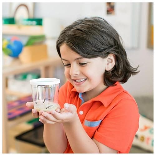 Insect Lore Raise and Release Butterfly Garden Kit – Caterpillar Habitat with redeemable Voucher – STEM-accredited Butterfly Growing Kit for Kids, Classrooms, and Homeschool Learning thumbnail 2