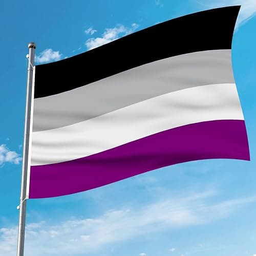 AhfuLife Asexual Flag - 3x5 Ft Rainbow Pride Flag for Outside - Double Side with Brass Eyelets for Asexual Party Decor, LGBT Pride Day Party Wedding Decorations thumbnail 7