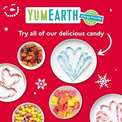 YumEarth Organic Candy Canes - Individually Wrapped Full Size Blue Raspberry Candy Canes - Dye Free, Allergy Friendly, Non GMO, Gluten Free, Vegan - 10 Count (Pack of 1) thumbnail 8