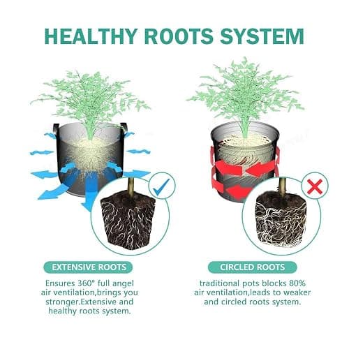 JOYSEUS 3.25" Seed Starter Pots, Organic Planting Peat Pots for Indoor Garden Seedling, 30 Pcs 100% Eco-Friendly and Biodegradable for Seed Germination thumbnail 4