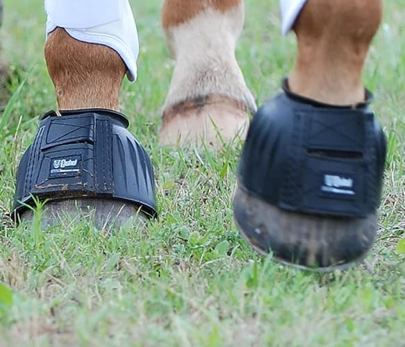 CASHEL Bell Boots Rubber, Black, Size: L (BB-BL-L) thumbnail 2