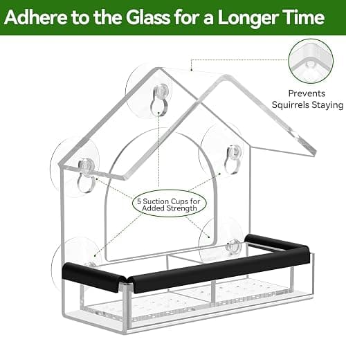 Clear Window Bird Feeder with 5 Extra Strong Suction Cups, DY-SKTY Sturdy and Durable Acrylic Birdfeeders for Viewing Wild Birds Outside, as a Bird Watching Gift, Outdoor Birdhouse Box, Garden Decor thumbnail 5