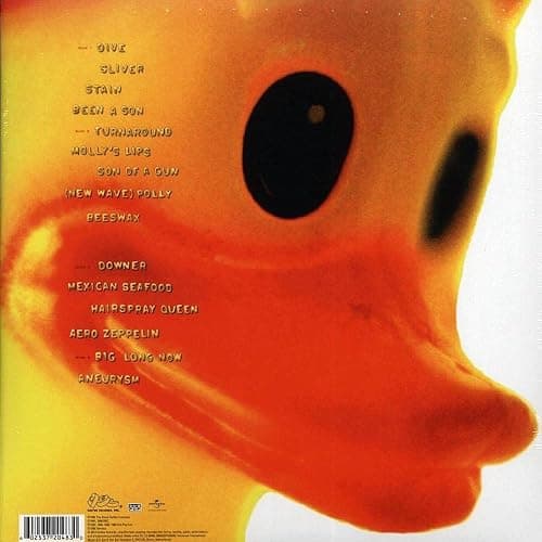 Incesticide 20th Anniversary 45RPM thumbnail 2