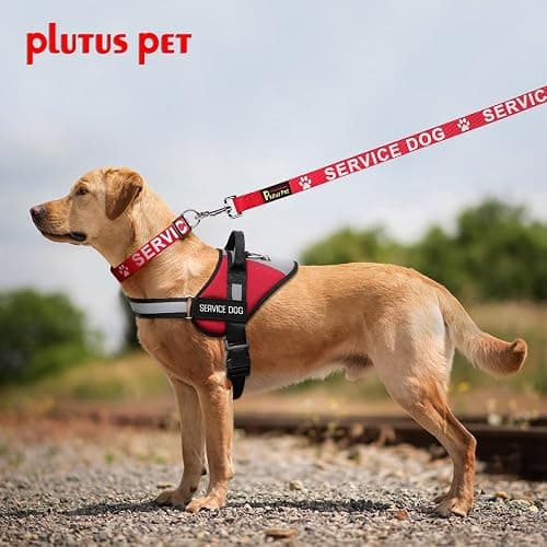 Plutus Pet Service Dog Collar,Printed in Large Letters on Nylon Webbing,Prevents Accidents by Warning Others of Your Dog in Advance,Two Colors,Four Sizes,Neck 14-20 inch,Medium,Red | Adjustable, Heavy Duty with Quick Snap Buckle, for Puppy Small Medium Large Dogs, Red, M thumbnail 5