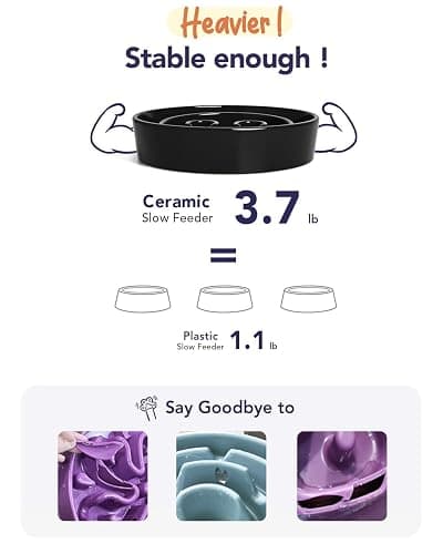 LE TAUCI Slow Feeder Dog Bowls Ceramic,3 Cups Slow Feeding Dog Bowl Medium Large Breed, Pet Bowl for Fast Eaters, Puzzle Pet Dishes,Skull Black thumbnail 3