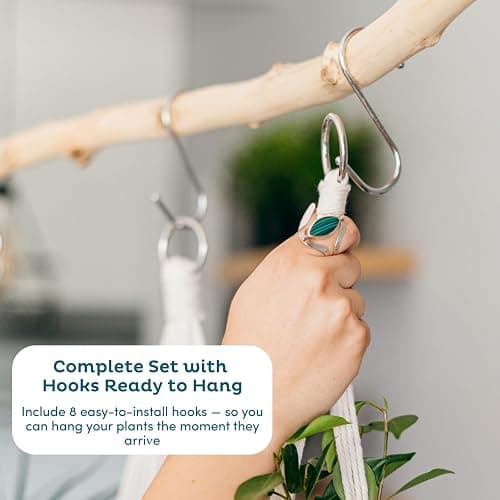 Plant Hanger thumbnail 3