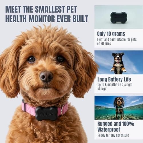 FitBark 2 Dog Activity Monitor | Health & Fitness Tracker for Dogs | Waterproof, Small & Leightweight (10 g) | Not a GPS Tracker thumbnail 2