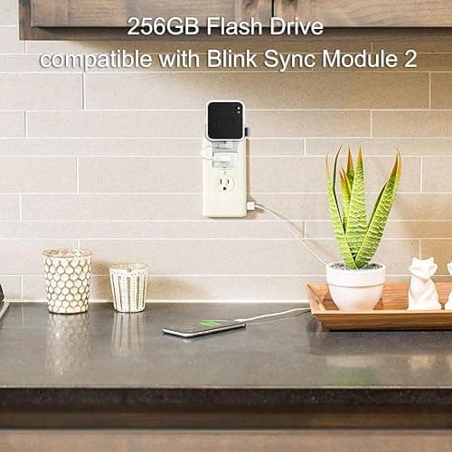 256GB Blink USB Flash Drive, with Outlet Wall Mount for Sync Module, Space-Saving Mount Bracket Holder for Blink Outdoor/Indoor Security System (Sync Module 2 is NOT Included),1Pack thumbnail 3
