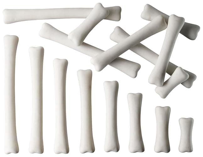 Yellow Door Dinosaur Bones Match & Measure Set, Multi - Image 1