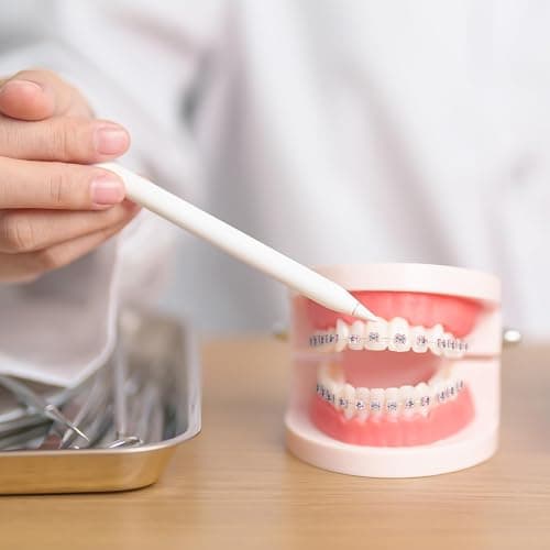 TrelaCo 1 Pack Fake Braces Artificial Tooth Decoration with Metal Wires Metal Bracket and Orthodontic Ligature Ties Practice Props for Dental Students Orthodontist Explain Props(Pink,Without Hook) thumbnail 6