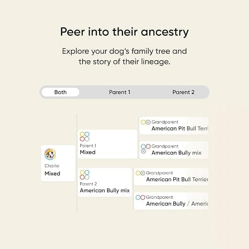 Embark Breed & Health Kit - Dog DNA Testing Kit - Discover Breed, Ancestry, Relative Finder, Genetic Health, Traits, Allergy Risk Scores thumbnail 6
