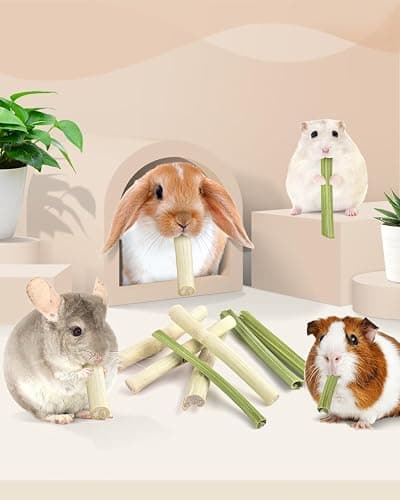 Bissap 40PCS Rabbit Chew Sticks, 20PCS Sweet Bamboo Chew Sticks & 20PCS Papaya Stems Bunny Chews for Rabbit Hamster Chinchilla Guinea Pig Small Animals Natural Molar Treats thumbnail 6