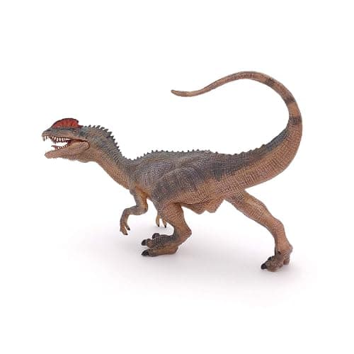 Papo - Figurine Dilophosaure - Jouet Dinosaure Enfant dès 3 Ans - Idée Cadeau Jurassique - 14 x 4,5 x 13 cm - Théropode Carnivore Réaliste - Peint à la Main - Collection Les Dinosaures - 55035 thumbnail 7