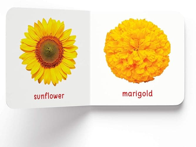 My First Book of Flowers: First Board Book thumbnail 5