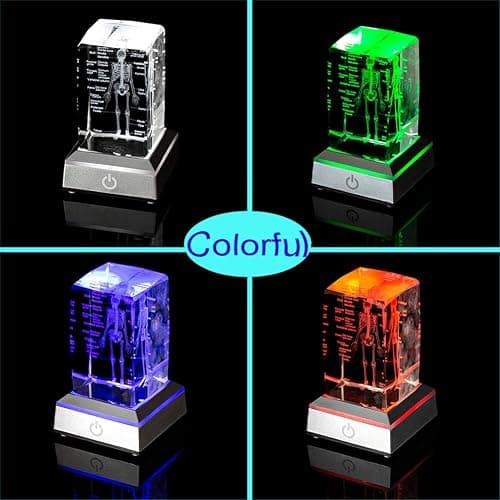 IFOLAINA 3D Human Skeleton Model Anatomy Gifts Crystal Labeled Skeleton Model Medical Figurines Bone Doctor Stuff Named Laser Engraved Gift for Med Biology Students thumbnail 4
