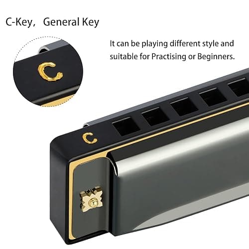 EastRock Blues Harmonica Mouth Organ 10 Hole C Key with Case, Diatonic Harmonica for Professional Player, Beginner, Students gifts, Adult, Friends, Gift Black thumbnail 3