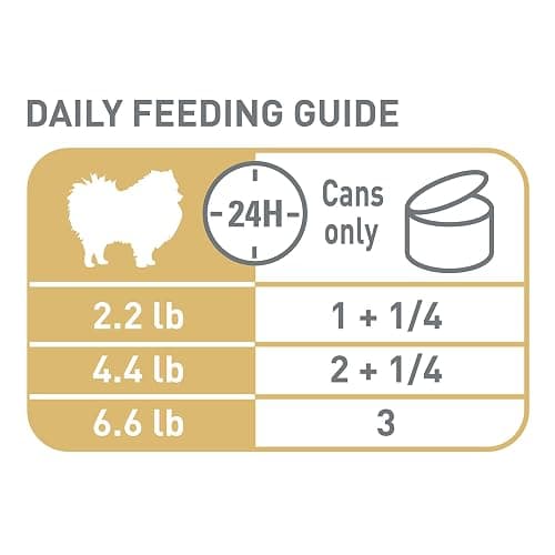 Royal Canin Pomeranian Adult Wet Dog Food, 3 oz, 6-Pack | Skin & Coat Support with EPA & DHA, Bone & Joint Support, For Adult Pomeranians, Loaf in Sauce, Developed by Veterinarians thumbnail 8