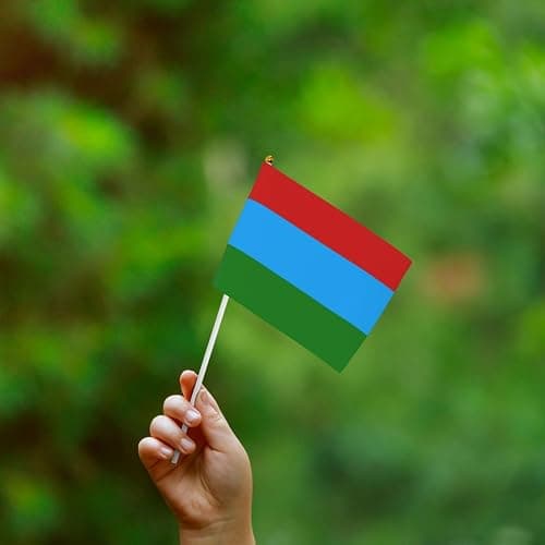 Karelia Flag Small Hand Held Flags, Mini Flags On Stick For Party Team Activities Parades Holiday Decoration 10 Pack thumbnail 7