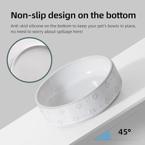 Havniva Ceramic Cat Food Bowl, 6.1" Raised Cat Bowls with Acacia Wood Stand | Elevated Cat Bowls, Whisker Friendly, Extra Wide Opening, Aesthetic Cat Dishes, Elegant Pet Bowls, Food-grade Ceramic, Kitten thumbnail 5