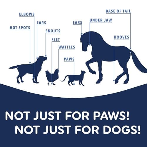 Musher's Secret All-Natural Dog Paw Balm, All-Season Paw Protector, 60g | Moisturizing paw balm for dogs, protects from hot pavement, ice and rough terrain, invisible barrier, all-season paw care thumbnail 8