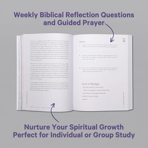 A Beautiful Year in the Bible: The 52-Week Bible Study for Women (SC) thumbnail 3