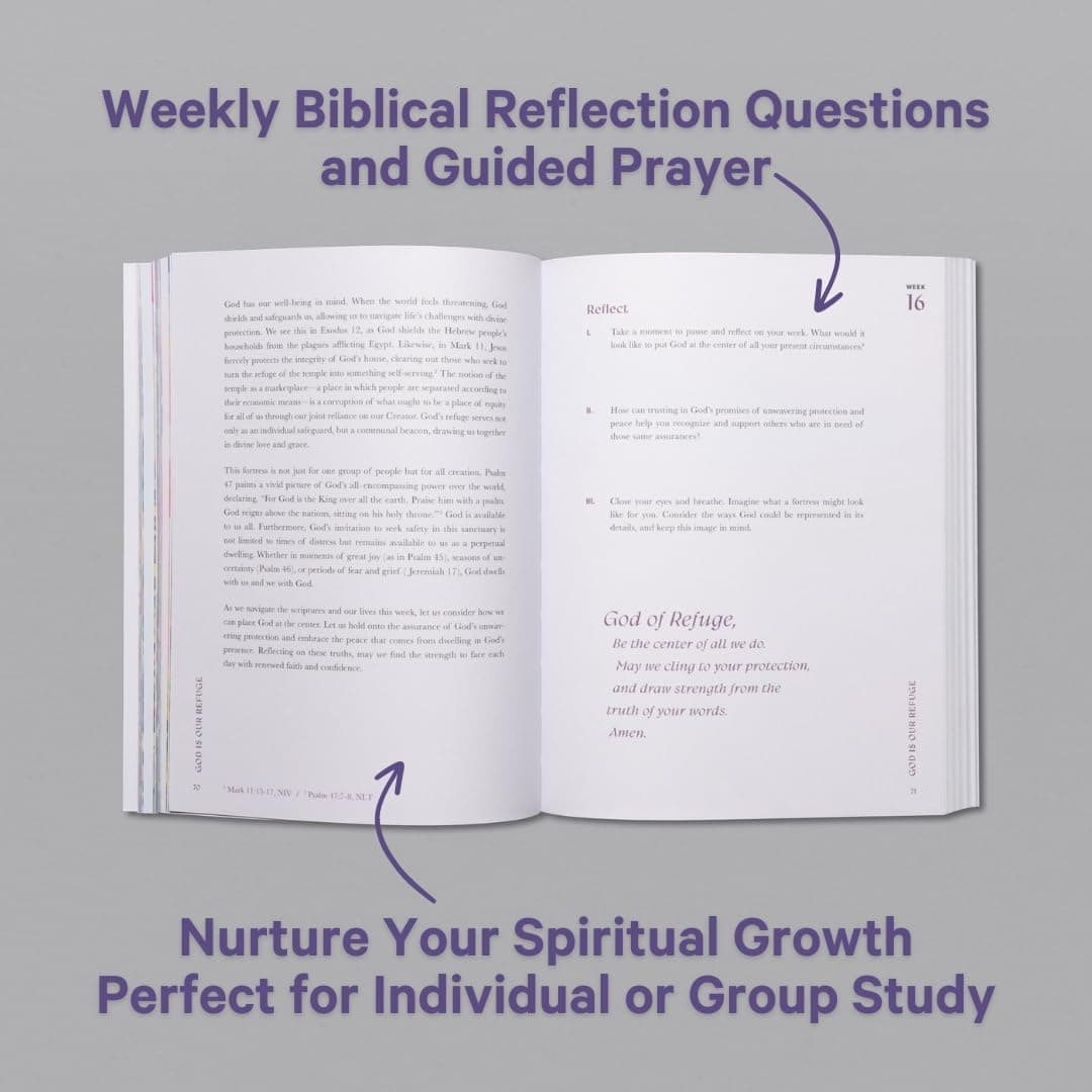 A Beautiful Year in the Bible: The 52-Week Bible Study for Women (Sc) thumbnail 3