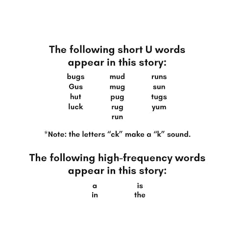 Charge into Reading Decodable Books (Stage 1): 5 Short Vowel Decodable Readers to Help Kindergarten and First Grade Beginning Readers Learn to Read (One Short Vowel Sound Per Book) thumbnail 29