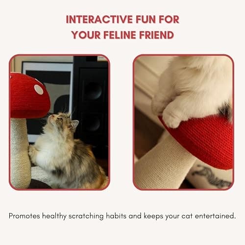 Mushroom Cat Scratching Post - Unique Design, Sisal-Wrapped, Ideal for Medium and Small Cat, Cat Scratcher Cute with 100% Sisal Covered Scratching Post, Mushroom Cat Post for Indoor Cats thumbnail 5