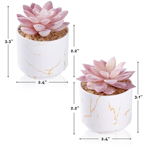 ZENIDA Artificial Plants and Succulents in 2 White Ceramic Pots,Small Fake Plants for Office and Desk Decor,Bathroom, Bedroom,Shelves for Women thumbnail 3