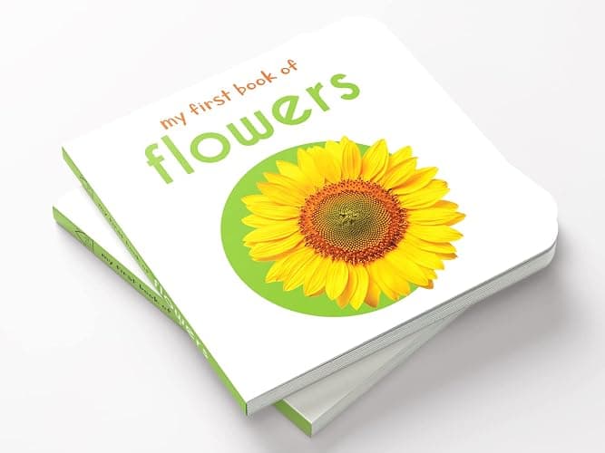 My First Book of Flowers: First Board Book thumbnail 4