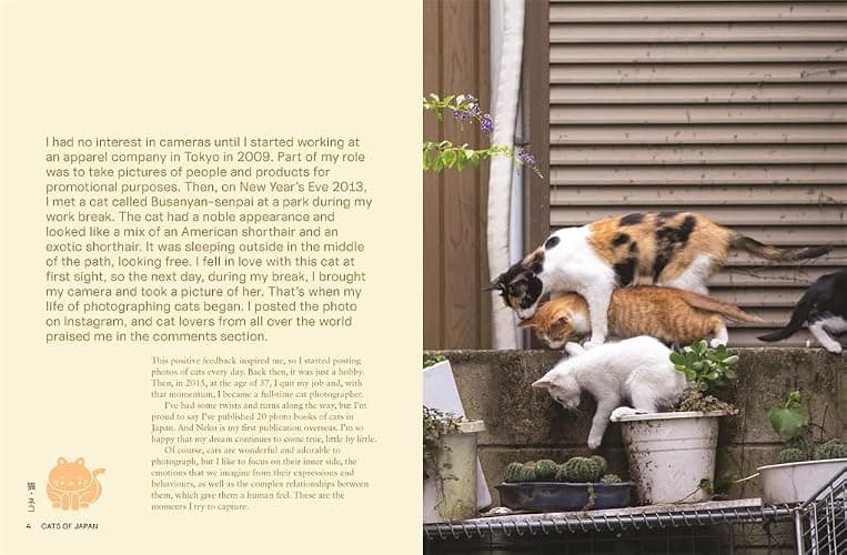 Neko: Cats of Japan thumbnail 2