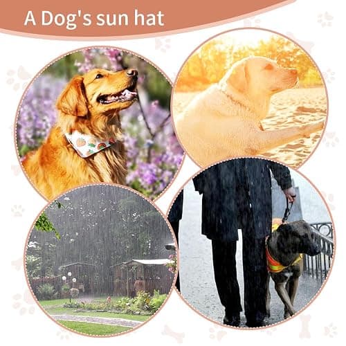 Auiepet Outdoor Sun Protection Hood for Dogs - Canvas Hat With Ear Holes and Adjustable Neck Strap (Black, Medium) thumbnail 3