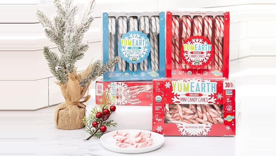 YumEarth Organic Candy Canes - Individually Wrapped Full Size Blue Raspberry Candy Canes - Dye Free, Allergy Friendly, Non GMO, Gluten Free, Vegan - 10 Count (Pack of 1) thumbnail 9