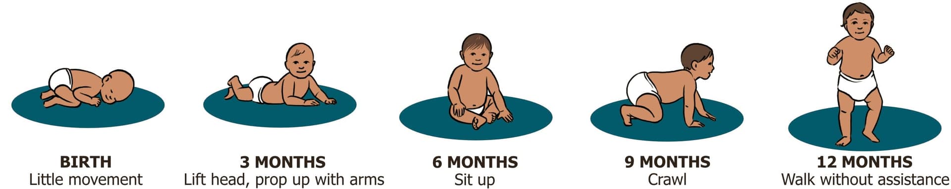 The Practitioner's Pocket Pal: A "Made Ridiculously Simple" Rapid Medical Reference thumbnail 9