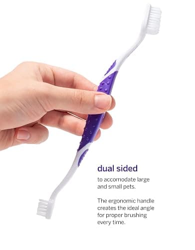 Petsmile Professional Pet Teeth Brushing Kit for Cats & Dogs - Only VOHC Accepted Toothpaste & Patented Toothbrush - Proven to Control Plaque & Tartar Calprox Formula (Say Cheese, 4.2 Oz) thumbnail 6