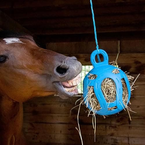 Horsemen's Pride Jolly Hay Ball Stall Toy for Horses, Blue, 8" thumbnail 2