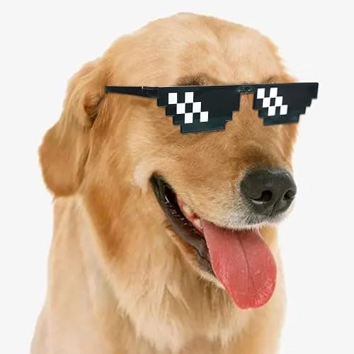 Lorigun Thug Life Glasses Pixel Sunglasses for Party, Deal with it Glasses Bachelor Party Decor thumbnail 7