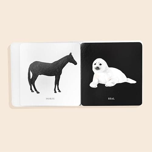 Baby's Tummy Time Book Box Set: A 3-Book Box Set of High-Contrast Art for Visual Stimulation at Tummy Time (Tabitha Paige Children's Book Series) thumbnail 4