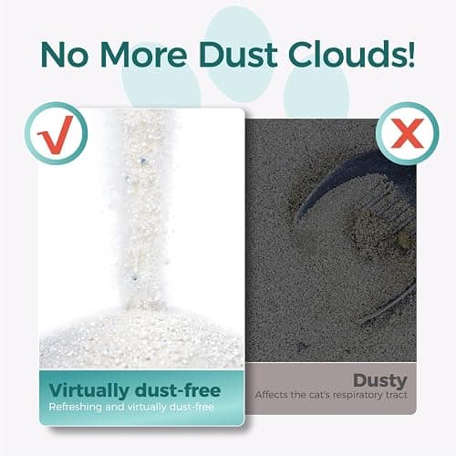 MOONFOREST Tapioca Cat Litter, Cassava Cat Litter Odor Control Dust-Free Clumping Litter thumbnail 5