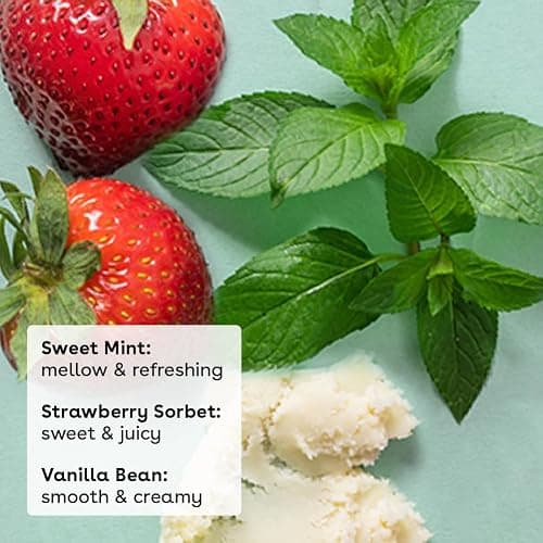 eos 100% Natural & Organic Lip Balm Trio- Vanilla Bean, Sweet Mint, & Strawberry Sorbet, Made for Sensitive Skin, Lip Care Products, 0.14 oz, 3-Pack thumbnail 2