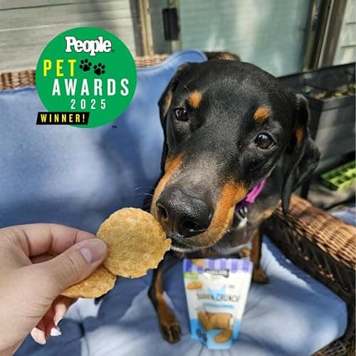 Three Dog Bakery Bark'N Crunch! Chicken & Cheese Chips with 100% Real Chicken - 3.8 oz - Crunchy Treats for Dogs - High Protein Dog Snacks - Grain Free, No Corn or Soy, Limited Ingredient Treats thumbnail 9