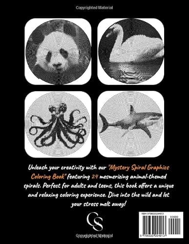 Mystery Spiral Graphics Coloring Book thumbnail 2