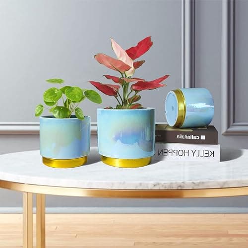 Gepege Ceramic Pots for Plants, Rainbow Pearl Glaze Planter with Drainage Hole, 6.0 inch+5.0 Inch+4.0 Inch. Indoor-Outdoor Large Round Succulent Orchid Flower Pot - 6+5+4inches - Blue thumbnail 2