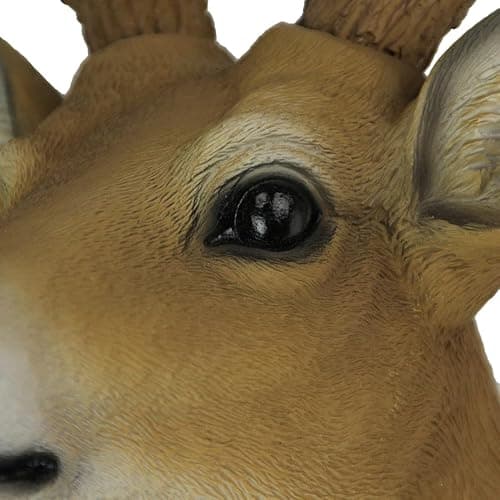 HD 8 Point Buck Wall Mounted Fake Deer Head - Faux Taxidermy Antler Animal Sculpture - 13 Inch High Resin Fall Dining Room Wall Decor and Rustic Cabin Decoration | Brown Hand-Painted Resin, Natural Highlights and Texture, 11 Inch Wide, 9.25 Inch Deep thumbnail 8