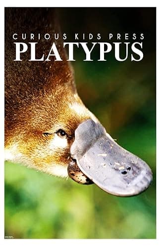 Platypus - Curious Kids Press: Kids book about animals and wildlife, Children's books 4-6 - Image 1