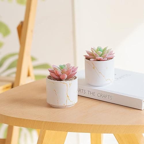 zenmag Succulents Plants Artificial, Mini Fake Succulents in White Ceramic Pots for Desk Livingroom Bathroom and Home Decoration Office Decor for Women Set of 2 Artificial Succulents thumbnail 5