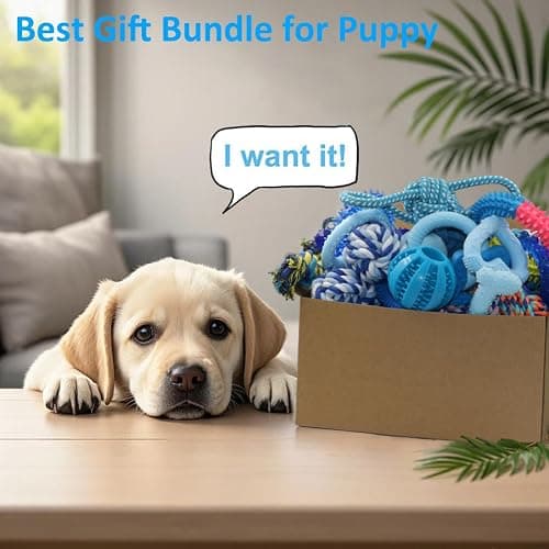 Beiker 20 Pack Puppy Chew Toys - Blue Dog Teething Toys for Puppies, Puppy Teething Rings and Ropes, Blue Rubber Toy Bundle for Small Dogs, Cute Interactive Dog Balls for Small Breed thumbnail 6