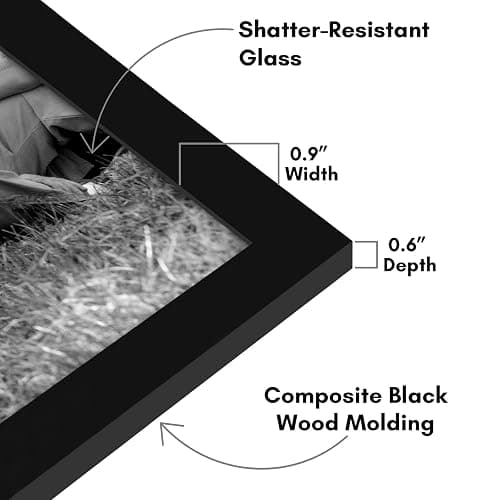 Americanflat Set of 10 Picture Frames with Shatter-Resistant Glass - Gallery Wall Frame Set with Two 8x10, Four 5x7 and Four 4x6 Frames - Signature Collection - Black thumbnail 4