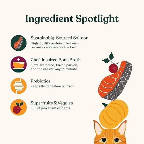 Made by Nacho Wet Cat Food, Cuts in Gravy, Sustainably-Caught Salmon with Bone Broth for Extra Hydration, (12) 3 oz. Pouches, Limited Ingredients thumbnail 5